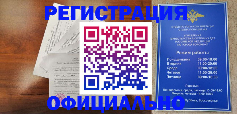 прописка поиск в Нововоронеже